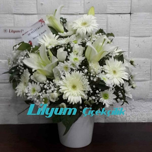 Seramikte Gerbera Lilyum Papatya Resim 1