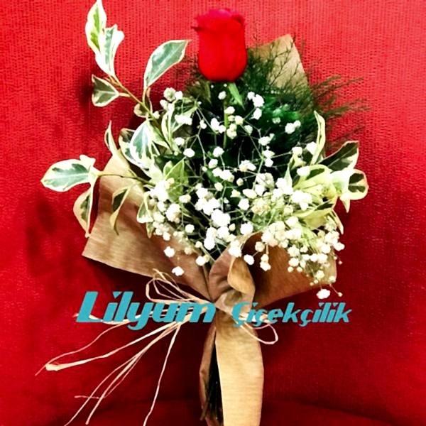 Tek Gülüm Resim 1