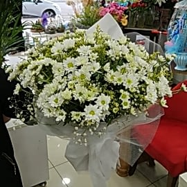 product-details