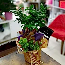 product-details